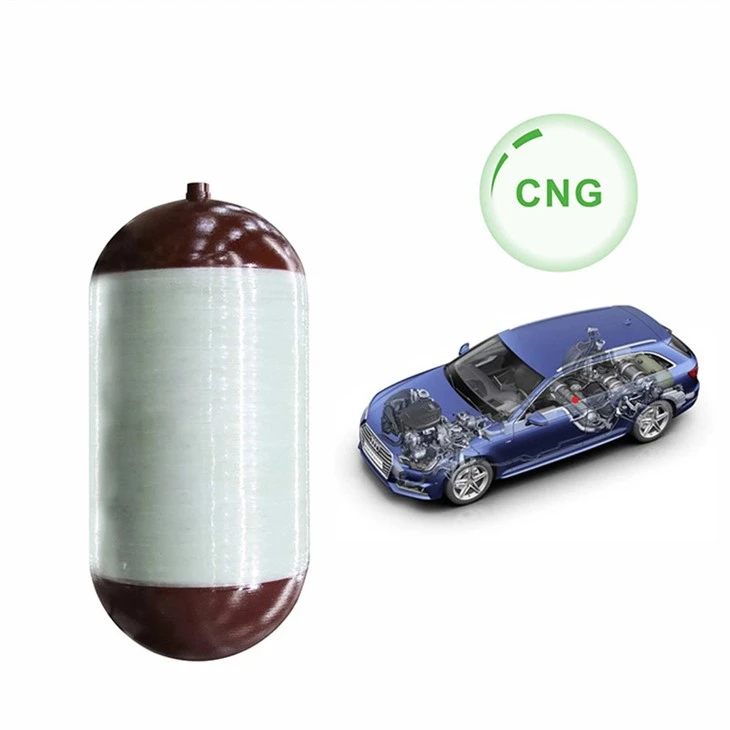 CNG2-Cylinder-Vehicle (7)