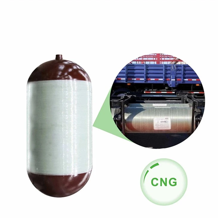 CNG2-Cylinder-Vehicle (9)